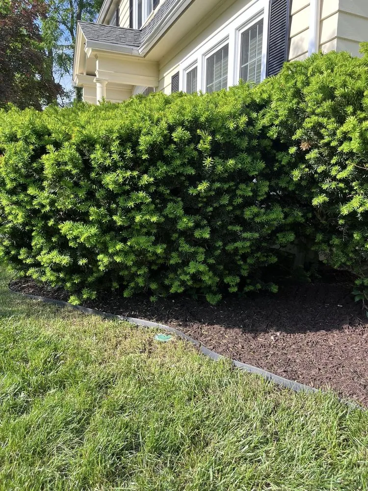 Reliable landscaping services in New Britain, CT - Lentini Landscaping