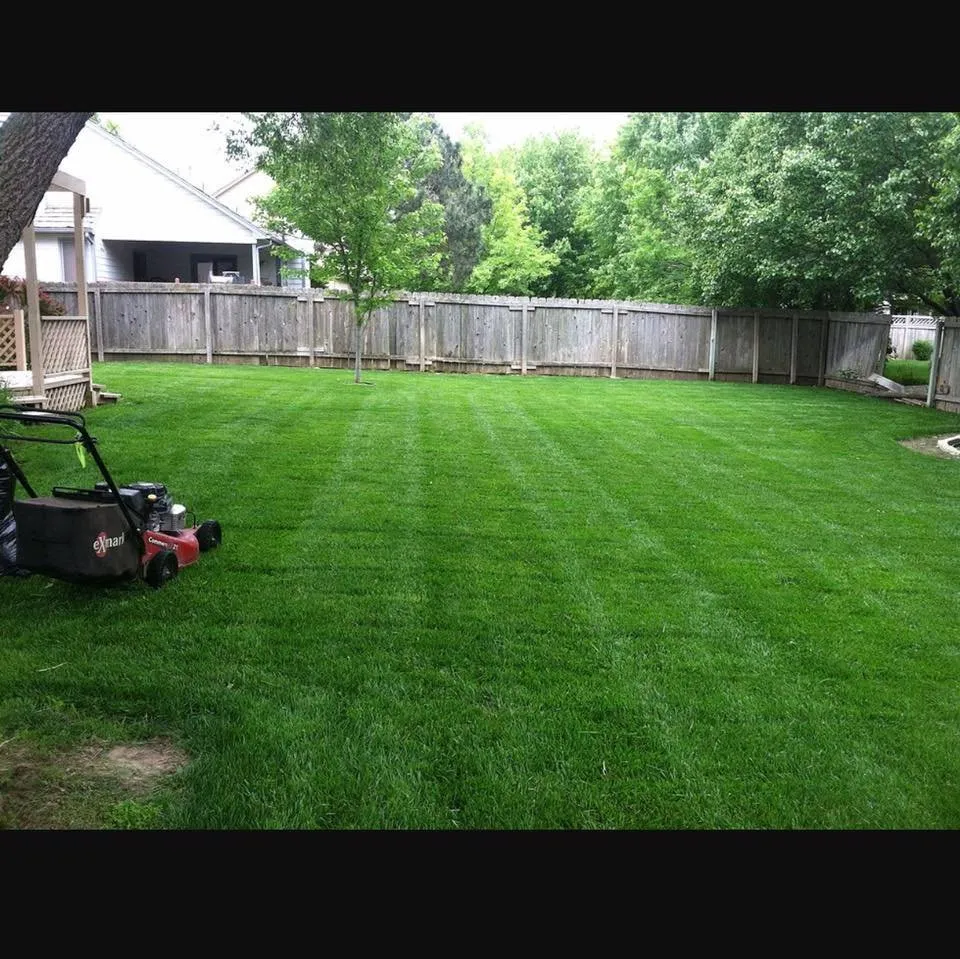 Reliable landscape design for homes across Pinellas Park, FL - Lentsch Lawn Service