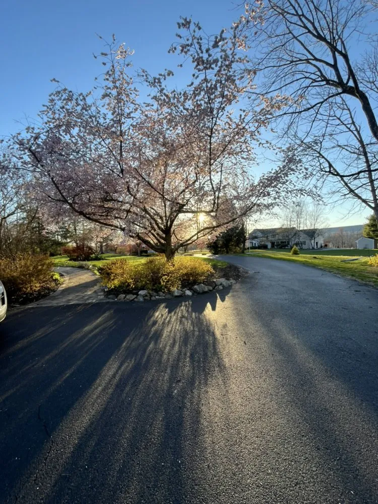 Reliable lawn mowing service experts serving Dover, NJ - Leo and Sons Landscaping