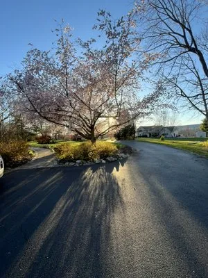 Leo and Sons Landscaping Logo