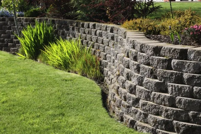 Expert yard maintenance in Frederick, MD by Leo Carias Services