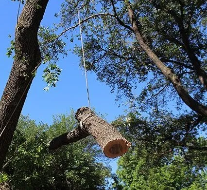 Reliable residential landscaping experts serving Frederick, MD - Leo Carias Services