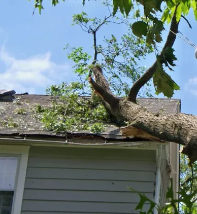 Custom landscape design for residential properties in Frederick, MD by Leo Carias Services