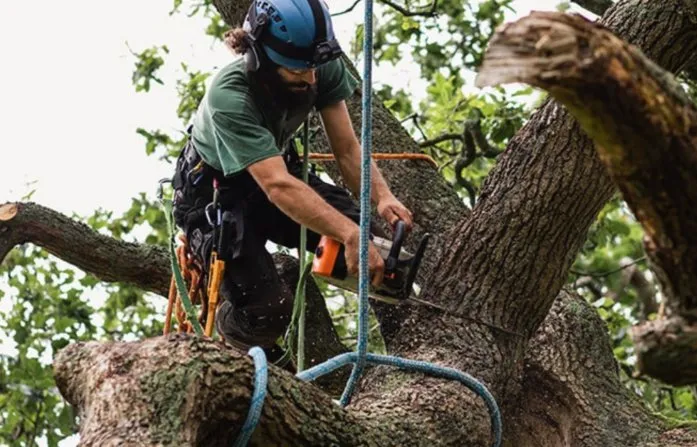 Top-rated lawn mowing service for year-round maintenance in Frederick, MD by Leo Carias Services