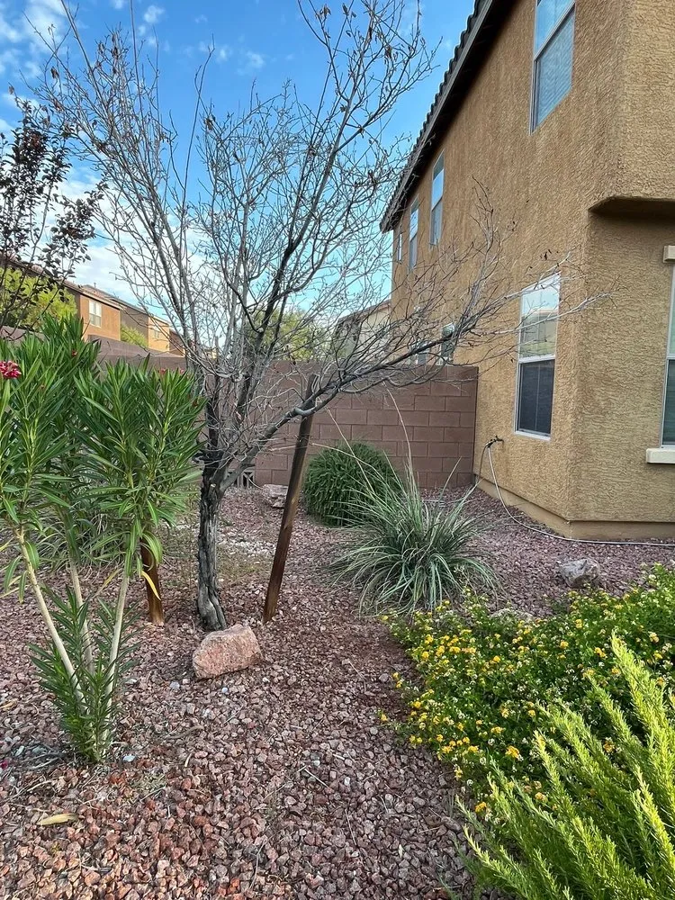 Local landscape design in Las Vegas, NV - Leo Garcias Lawn Service