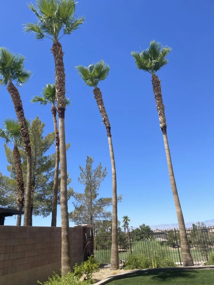 Professional garden landscaping in Las Vegas, NV - Leo Garcias Lawn Service