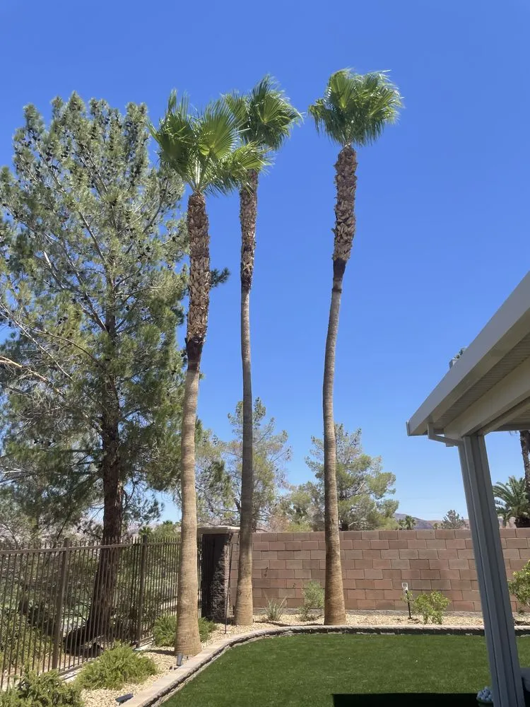 Local landscaping services in Las Vegas, NV - Leo Garcias Lawn Service