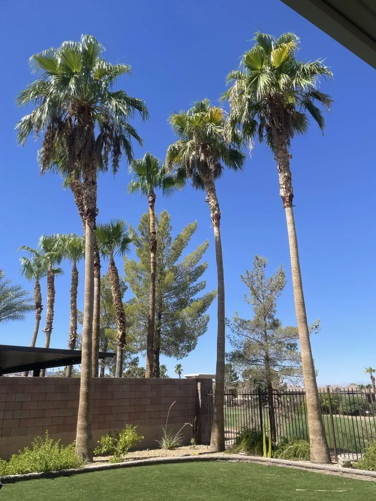 Local landscape design in Las Vegas, NV by Leo Garcias Lawn Service