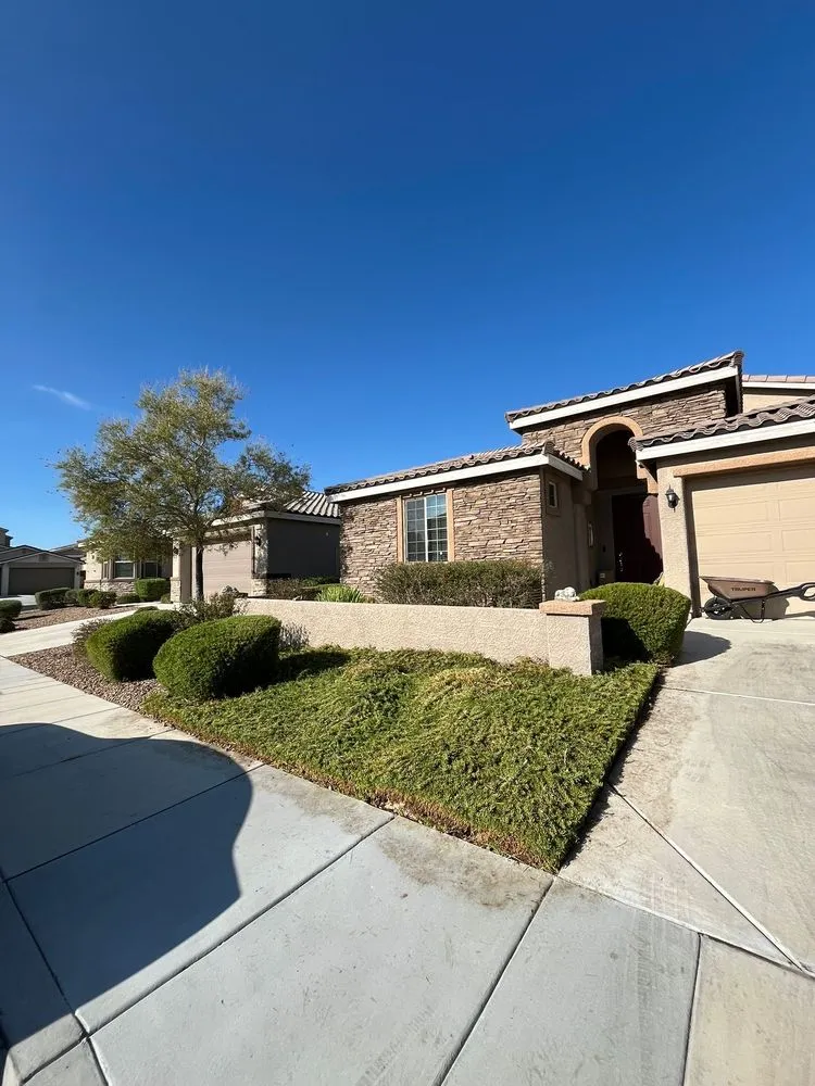 Top-rated yard cleanup service in Las Vegas, NV by Leo Garcias Lawn Service