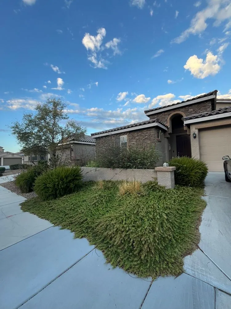 Top-rated landscape design in Las Vegas, NV - Leo Garcias Lawn Service
