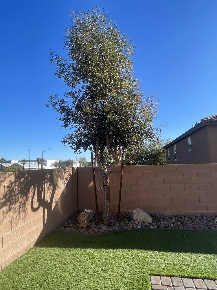 Trusted yard maintenance in Las Vegas, NV - Leo Garcias Lawn Service