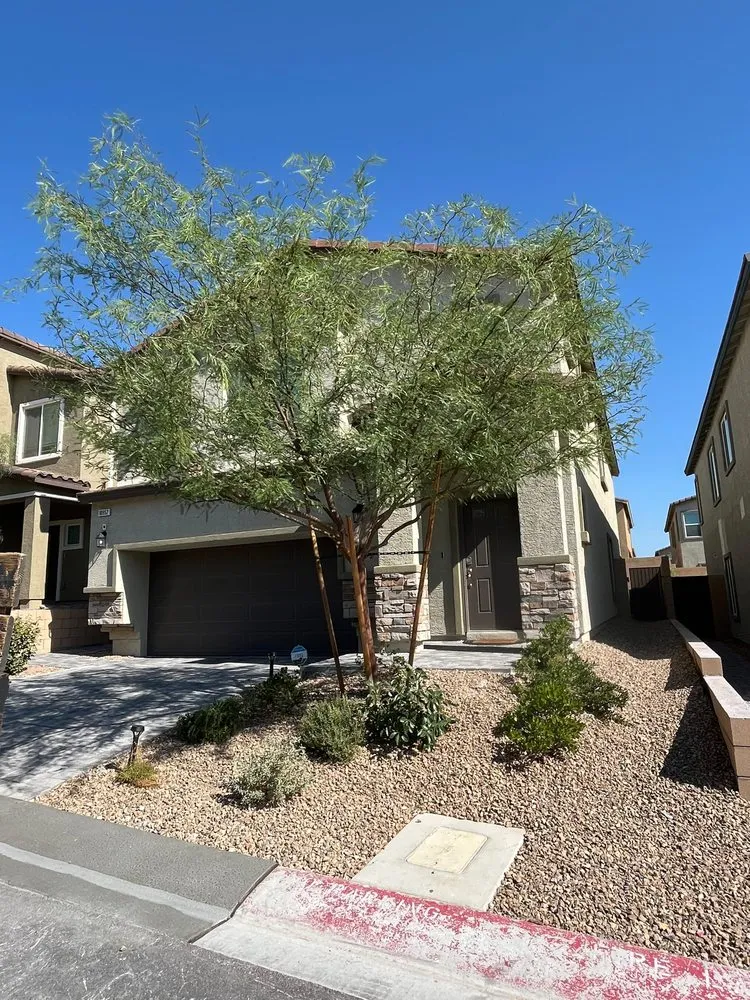 Professional landscape installation experts serving Las Vegas, NV - Leo Garcias Lawn Service