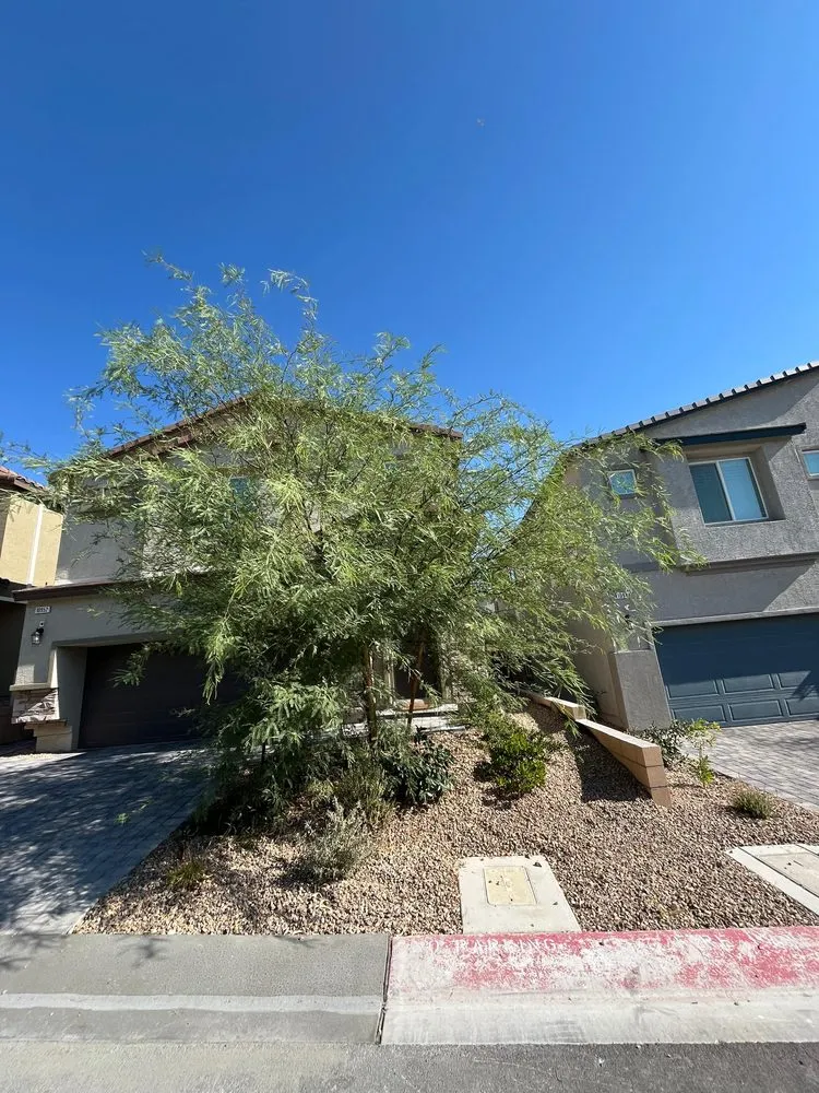 Local outdoor landscaping for year-round maintenance across Las Vegas, NV - Leo Garcias Lawn Service