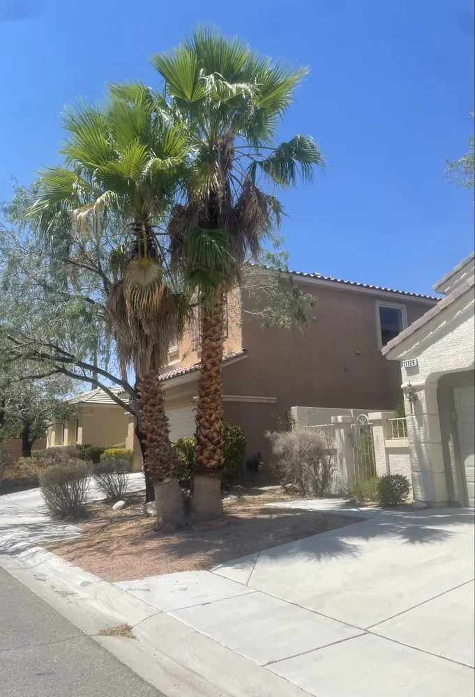 Trusted lawn care service in Las Vegas, NV - Leo Garcias Lawn Service