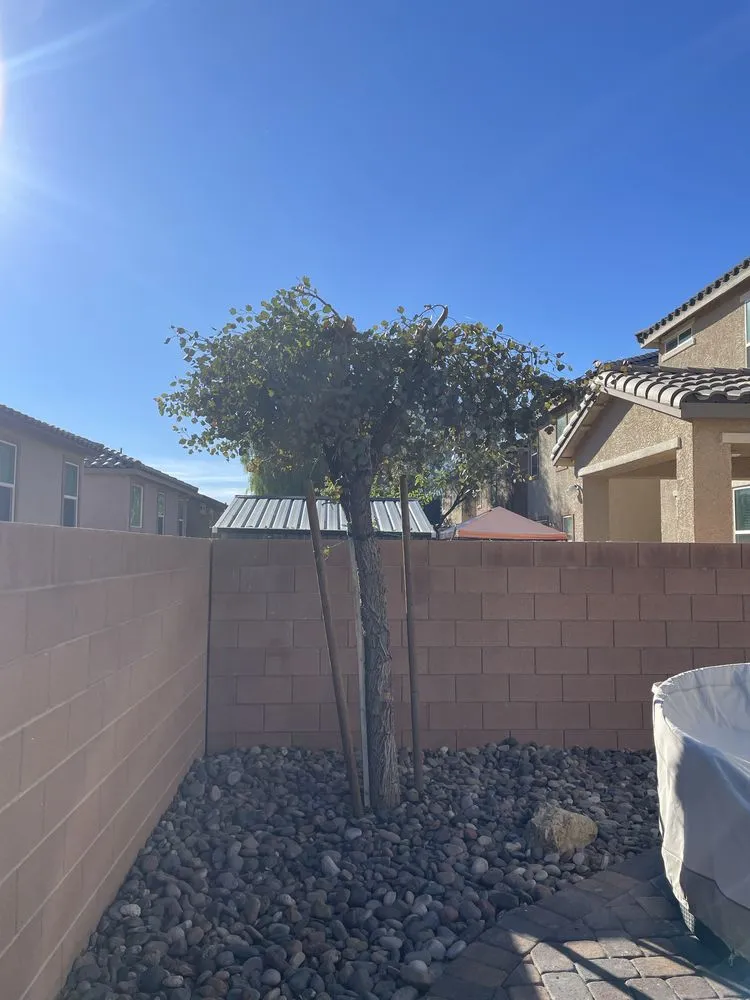 Reliable outdoor landscaping experts serving Las Vegas, NV - Leo Garcias Lawn Service