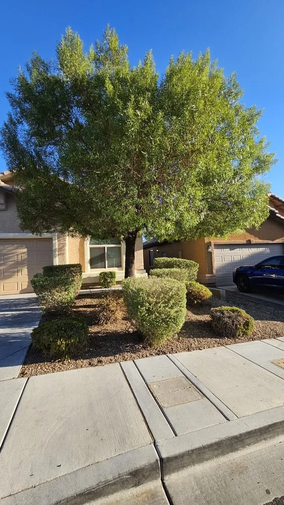Top-rated garden landscaping for residential properties across Las Vegas, NV - Leo Garcias Lawn Service