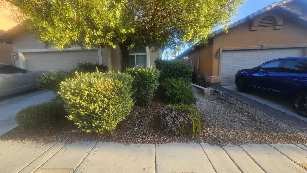 Affordable lawn care service near you in Las Vegas, NV by Leo Garcias Lawn Service