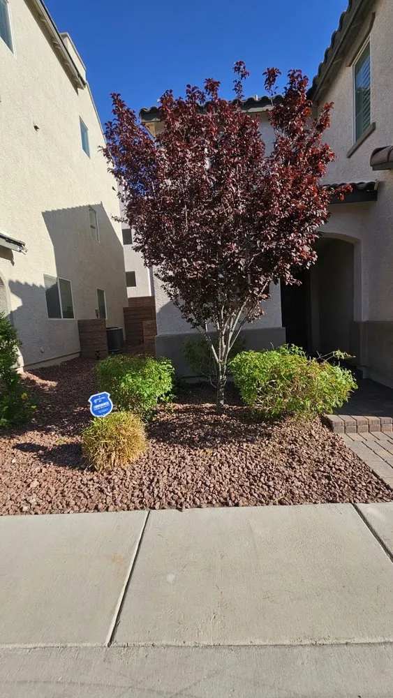 Trusted landscape design near you across Las Vegas, NV - Leo Garcias Lawn Service