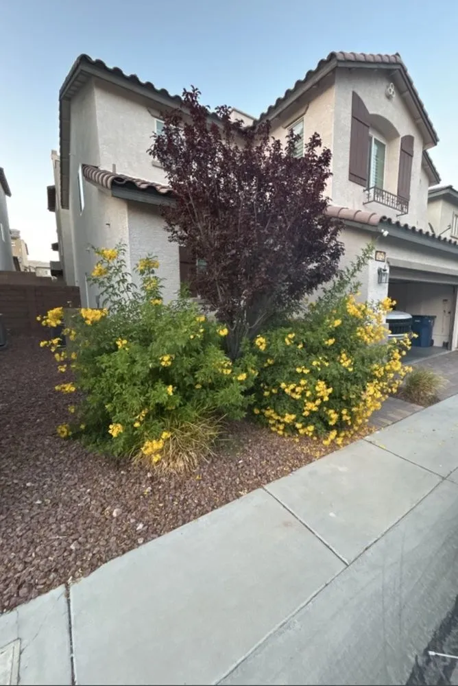 Affordable lawn mowing service for residential properties across Las Vegas, NV - Leo Garcias Lawn Service