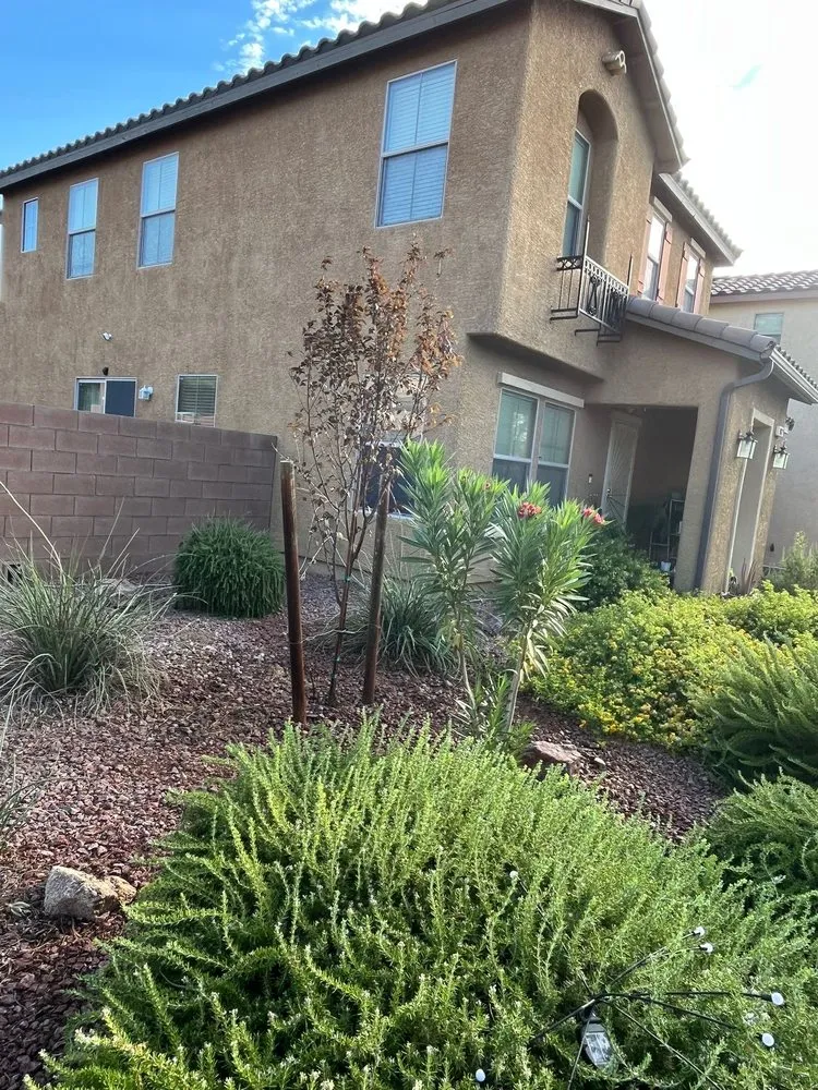 Affordable landscape design experts serving Las Vegas, NV - Leo Garcias Lawn Service