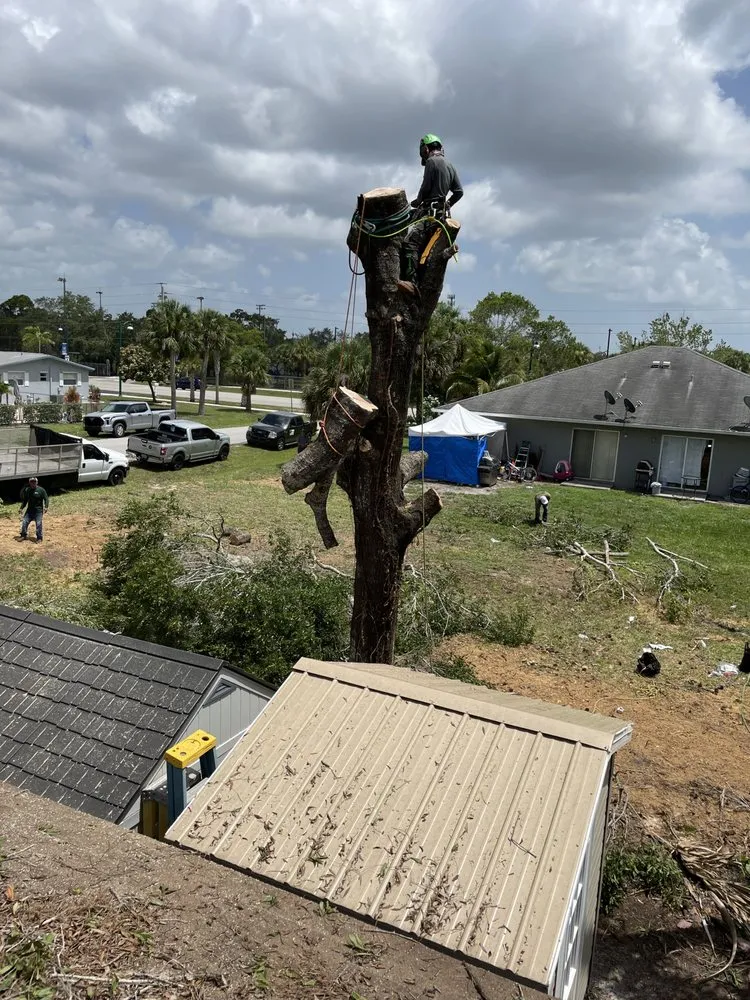 Expert garden landscaping in Naples, FL - Leo Garden Care