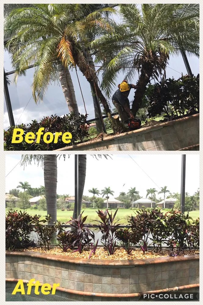 Professional garden landscaping for beautiful yards in Naples, FL by Leo Garden Care