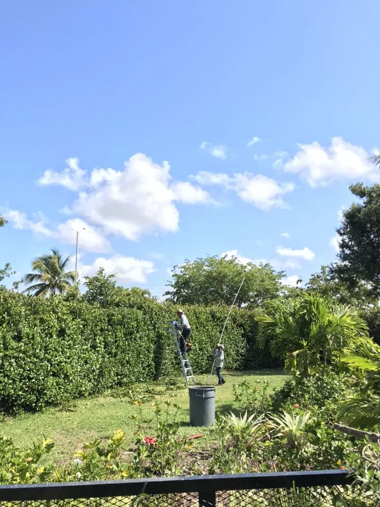 Local landscaping services for outdoor upgrades across Naples, FL - Leo Garden Care