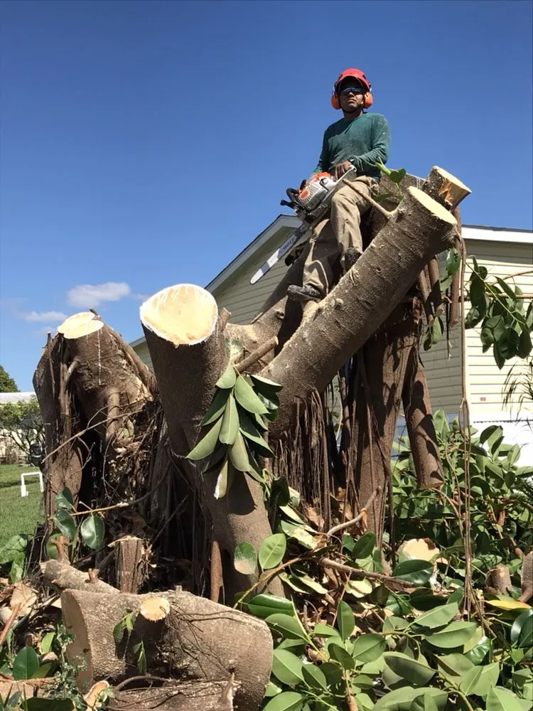 Custom landscaping services experts serving Naples, FL - Leo Garden Care