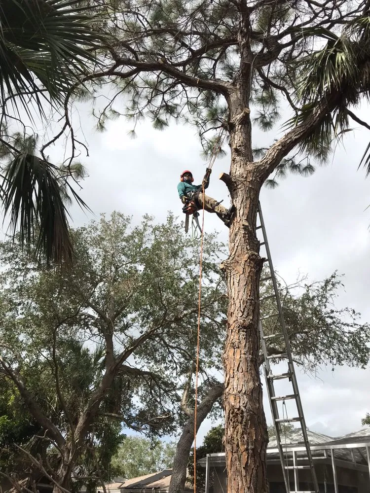 Expert lawn care service in Naples, FL - Leo Garden Care