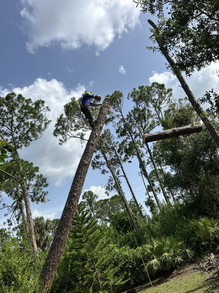 Custom landscaping services in Naples, FL - Leo Garden Care