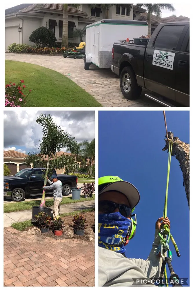 Expert lawn care service for beautiful yards across Naples, FL - Leo Garden Care