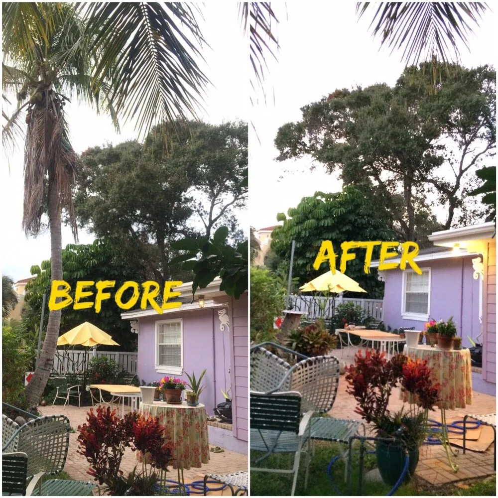 Expert yard cleanup service for beautiful yards across Naples, FL - Leo Garden Care