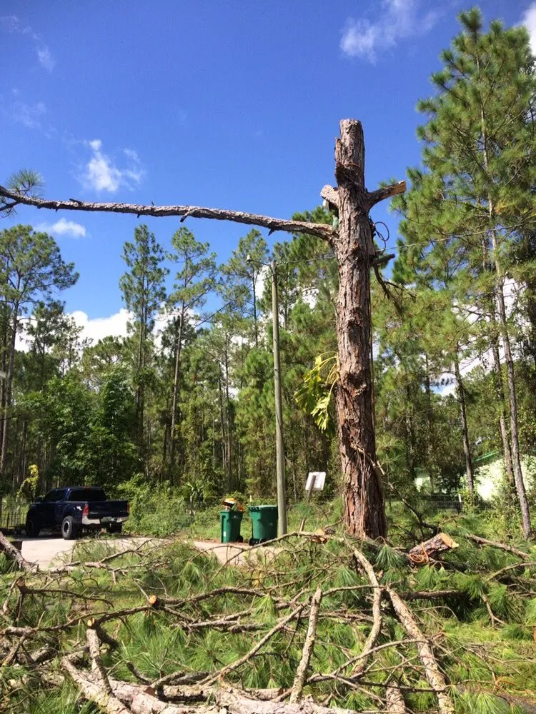 Professional garden landscaping in Naples, FL by Leo Garden Care