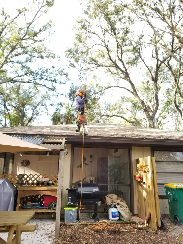 Professional residential landscaping for outdoor upgrades in Naples, FL by Leo Garden Care