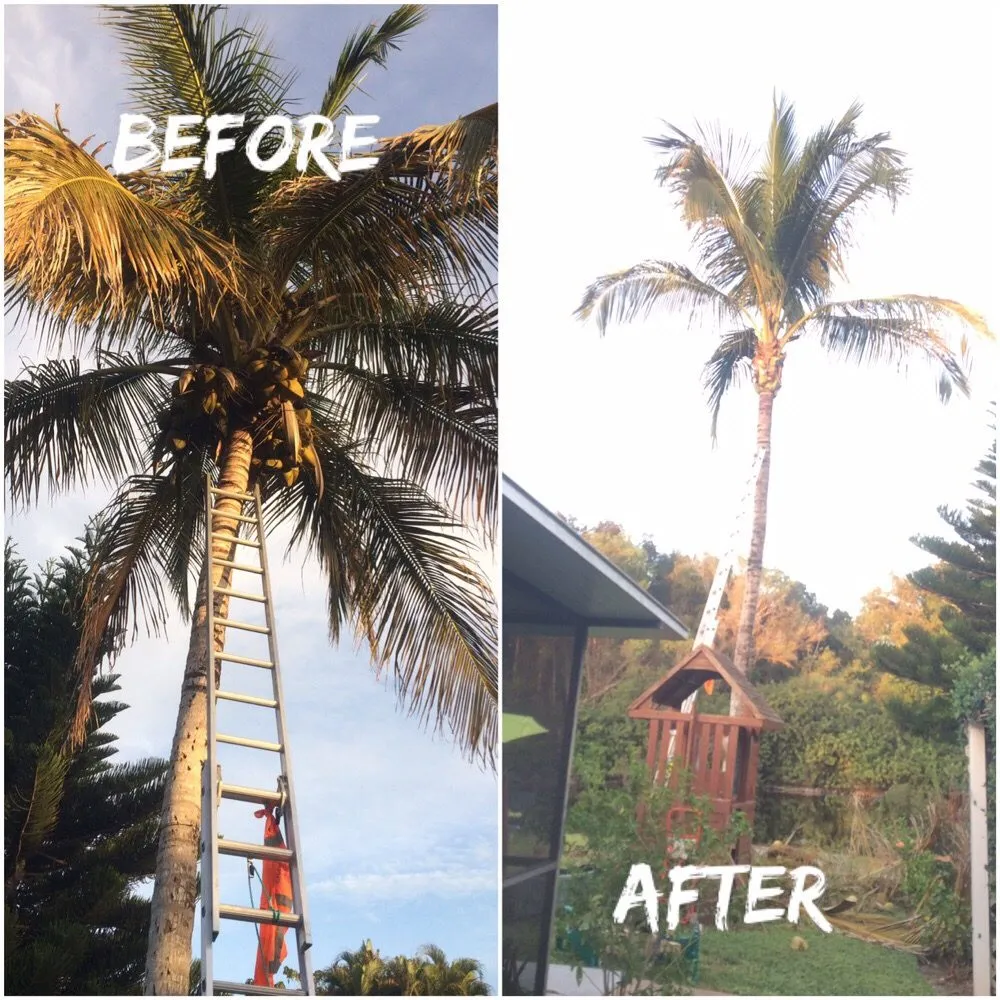 Professional lawn care service near you in Naples, FL by Leo Garden Care