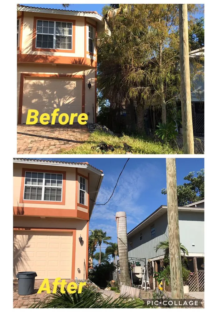 Reliable lawn mowing service experts serving Naples, FL - Leo Garden Care