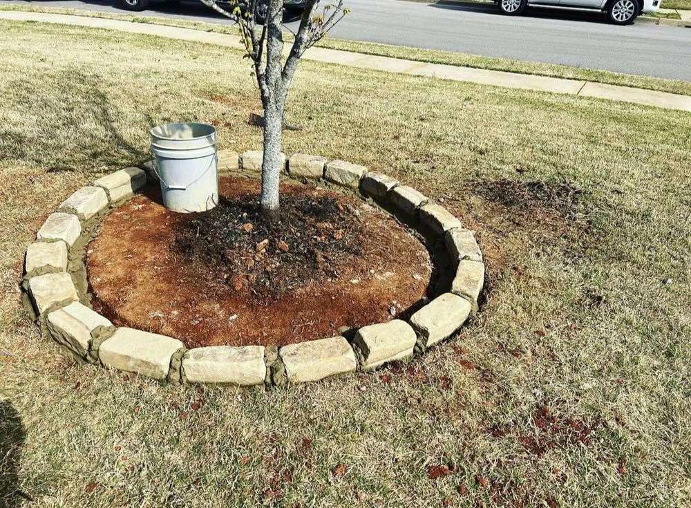 Local lawn mowing service experts serving Denver, CO - Leo Green Lawn Care