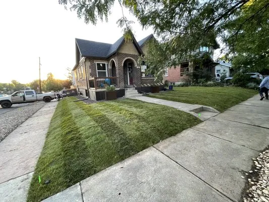 Leo Green Lawn Care Logo