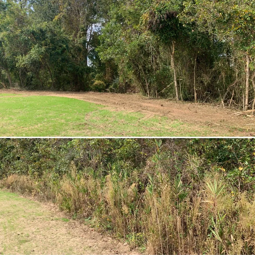 Affordable residential landscaping with custom design in Ayden, NC by LEO Land Management