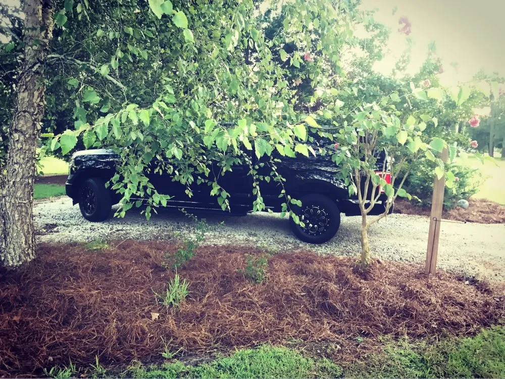 Local garden landscaping for outdoor upgrades across Ayden, NC - LEO Land Management