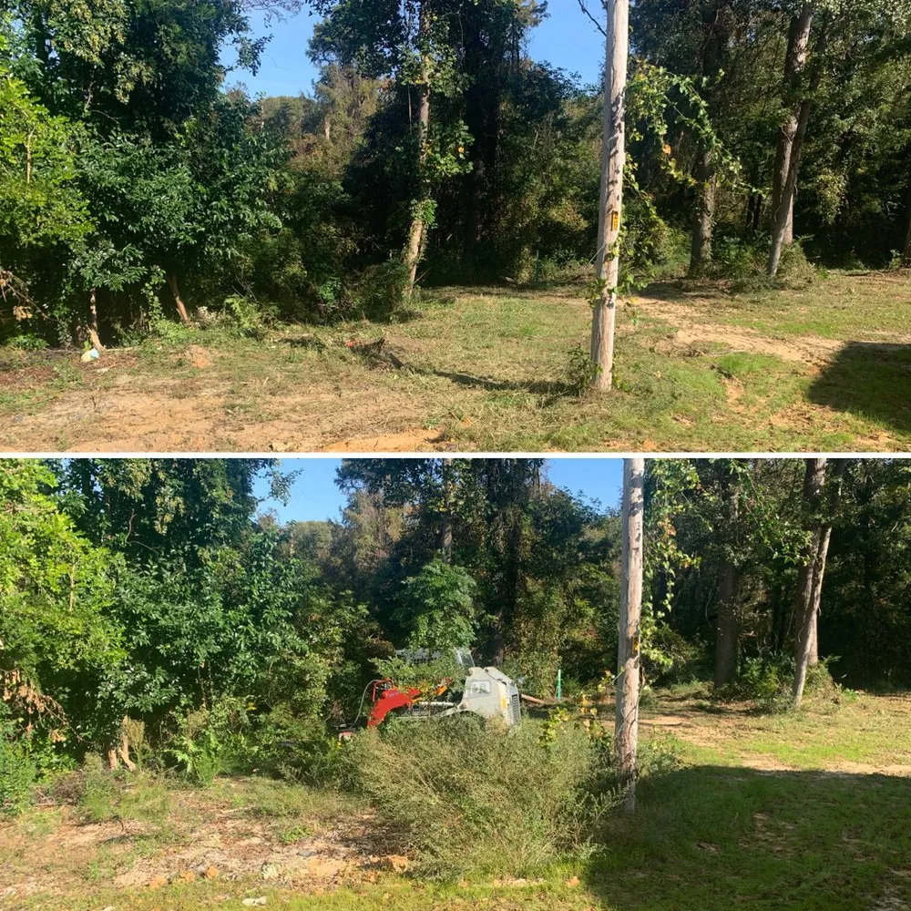 Local yard maintenance in Ayden, NC - LEO Land Management