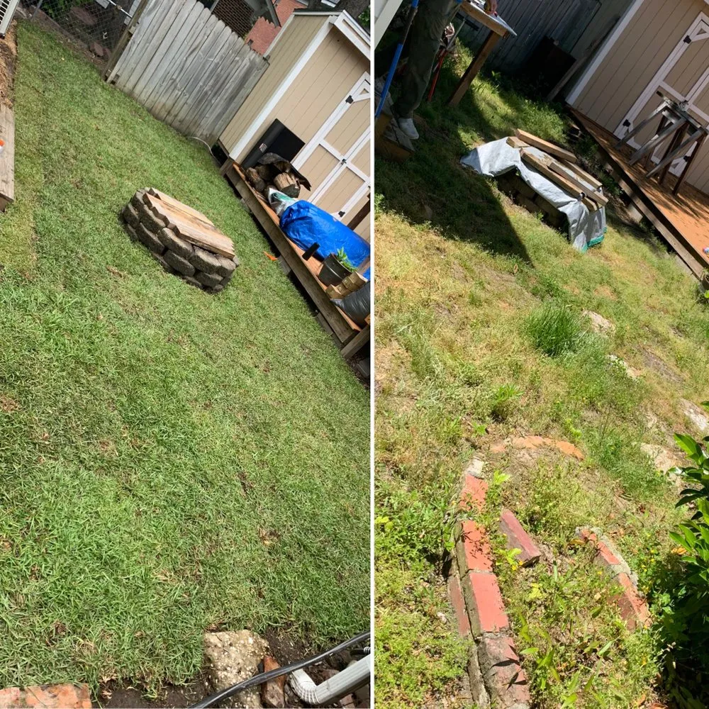 Professional residential landscaping in Ayden, NC - LEO Land Management