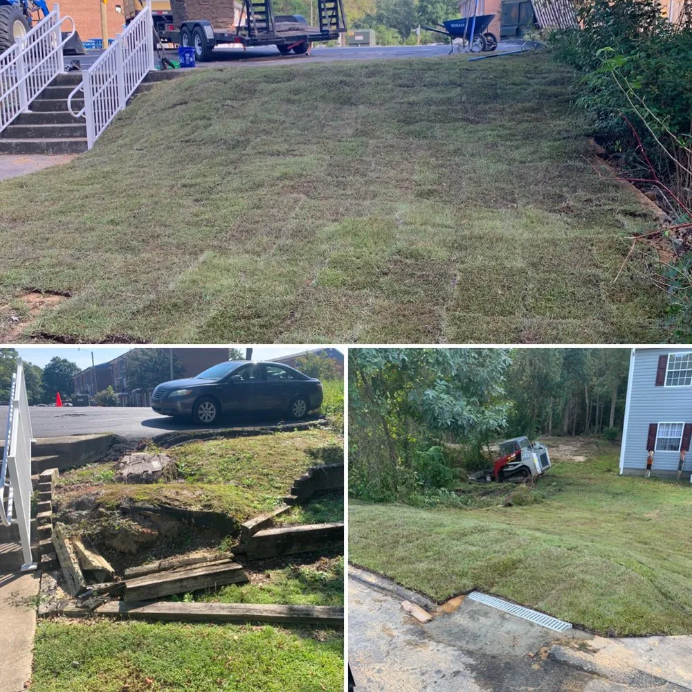 Expert landscape design in Ayden, NC by LEO Land Management