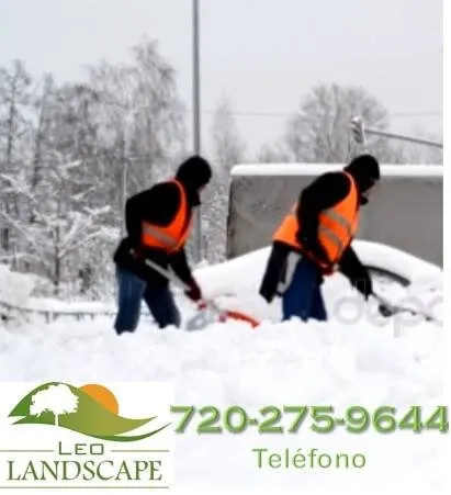 Top-rated yard cleanup service in Brighton, CO by Leo Landscape