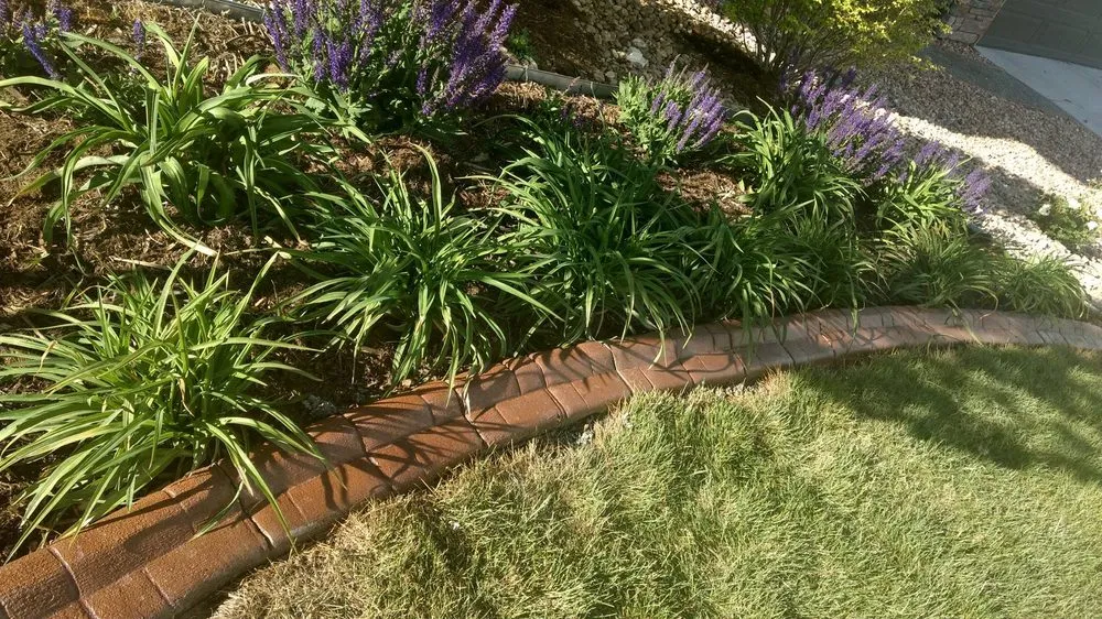 Top-rated garden landscaping experts serving Brighton, CO - Leo Landscape