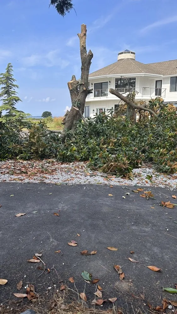 Reliable landscape design in Centreville, MD - Leo landscape