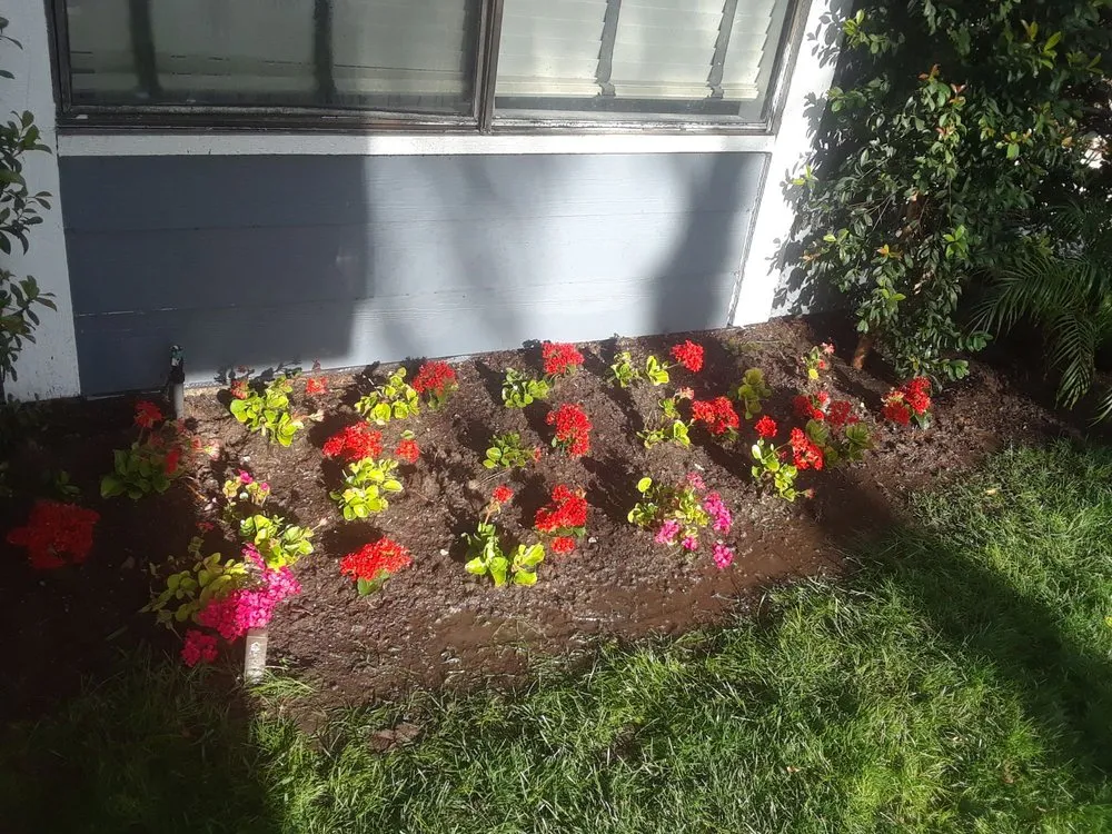 Affordable landscape design experts serving Garden Grove, CA - Leo Landscape