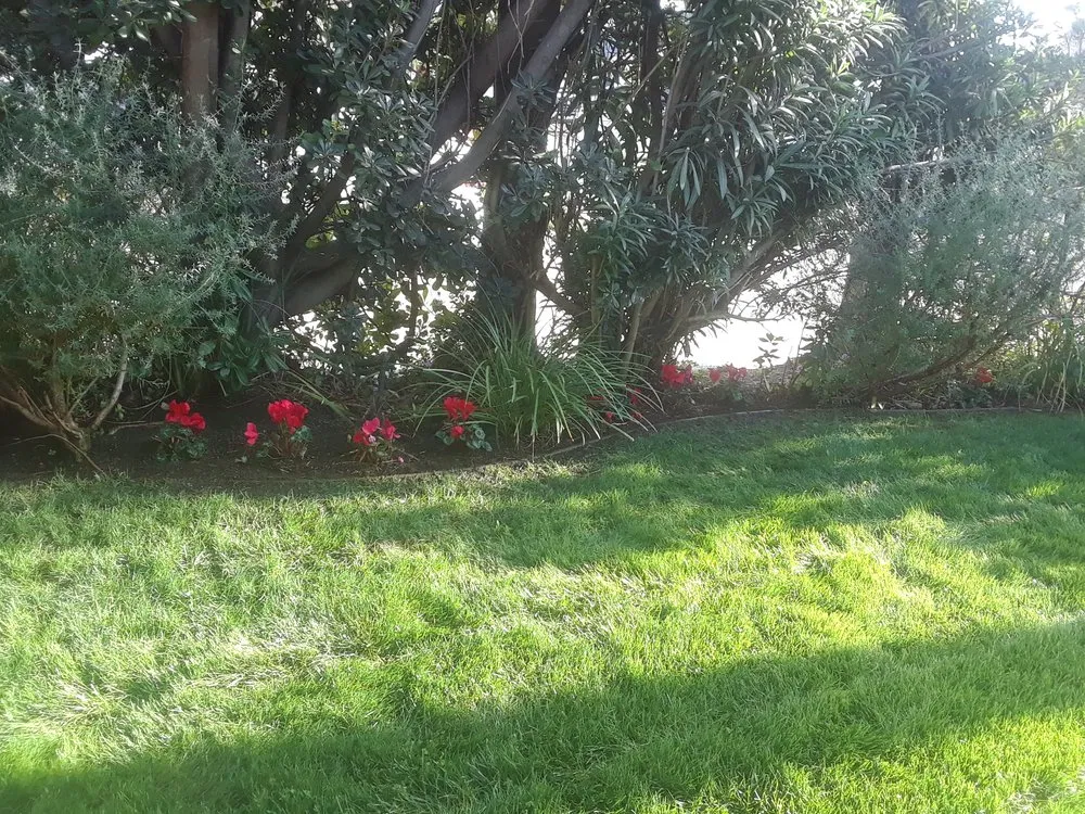 Reliable landscape design experts serving Garden Grove, CA - Leo Landscape