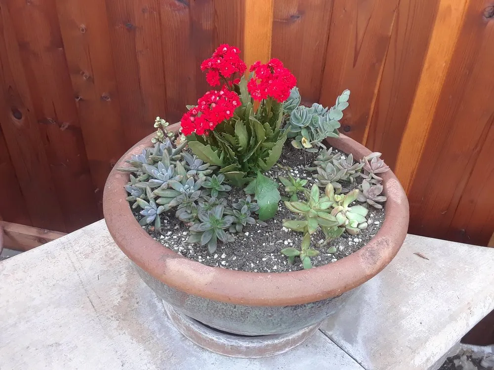 Local lawn mowing service in Garden Grove, CA - Leo Landscape