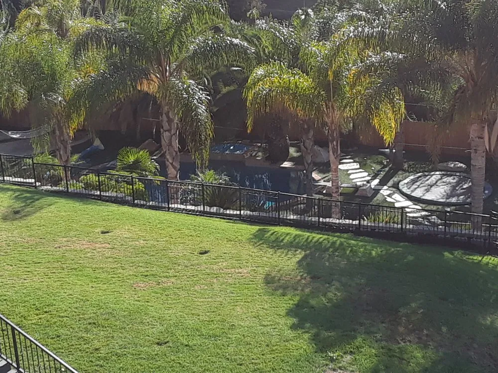 Affordable lawn care service in Garden Grove, CA - Leo Landscape